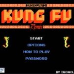 Kung Fu Remix